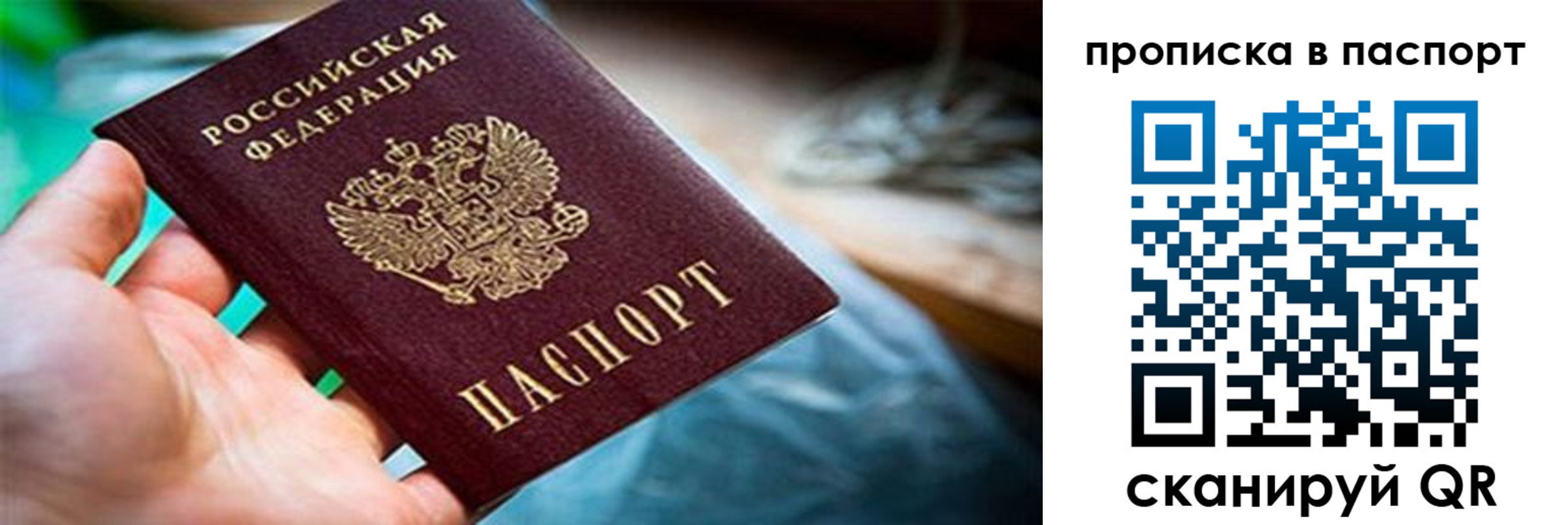 прописка гарантия в Киселёвске